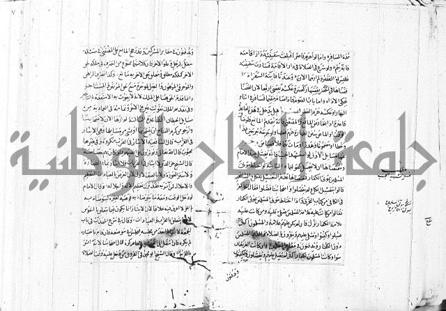 الاشباه والنظائر