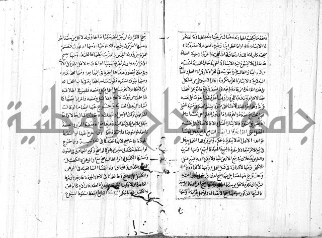 الاشباه والنظائر