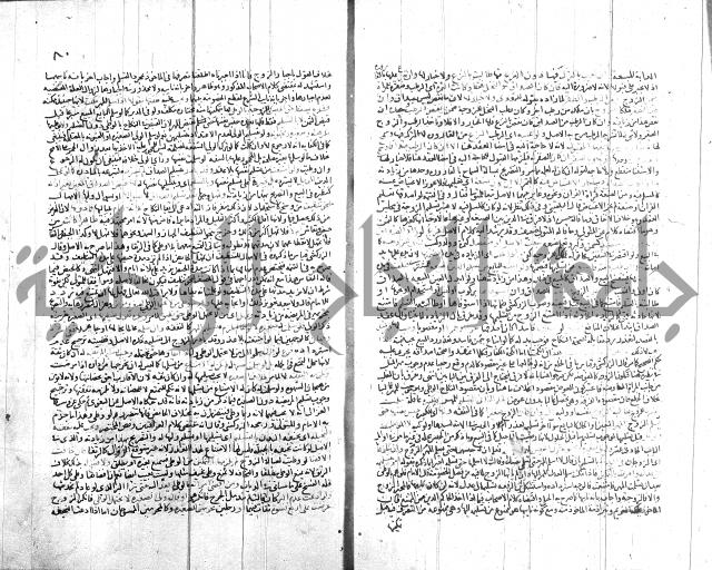 شرح الروض ج2