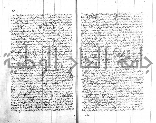 شرح الروض ج2