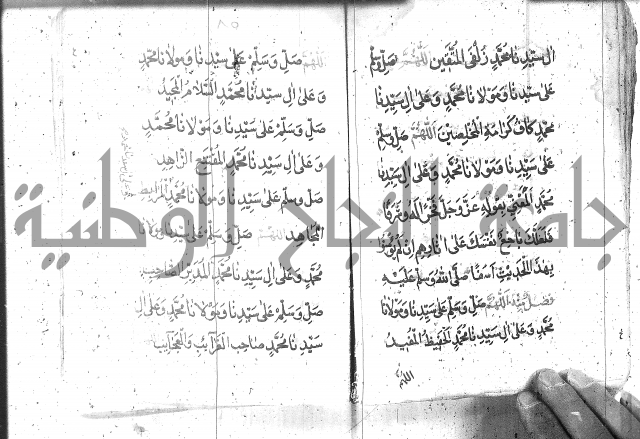 تنبيه الانام