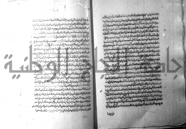 ارشاد الساري 10    