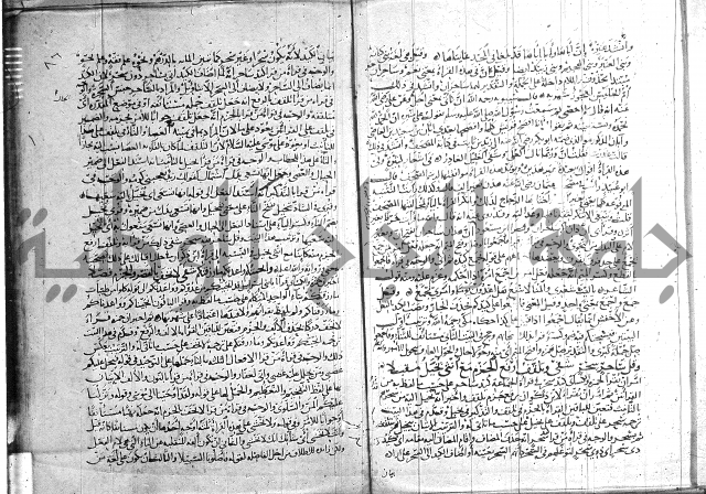 شرح الشاطبية