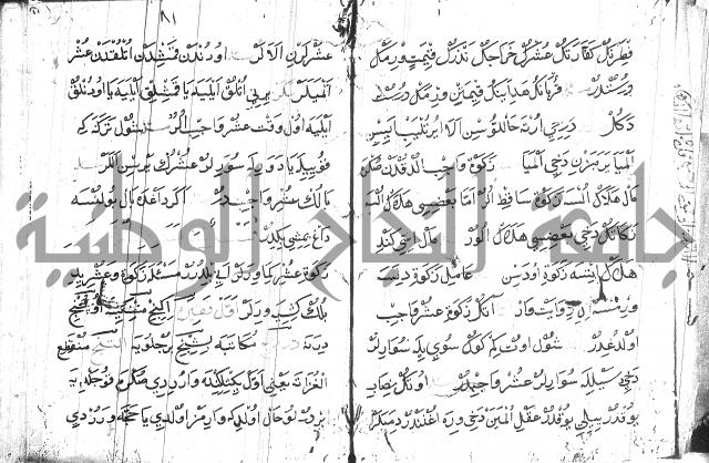 عبارات بالتركية