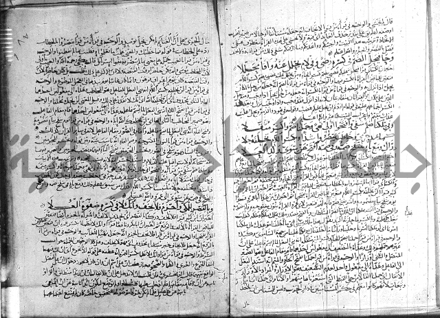 شرح الشاطبية