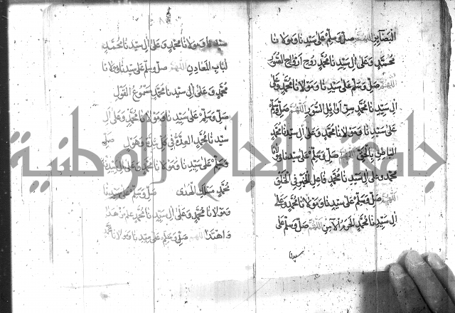 تنبيه الانام