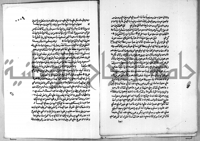 حاشية الجمل على تفسير الجلالين 