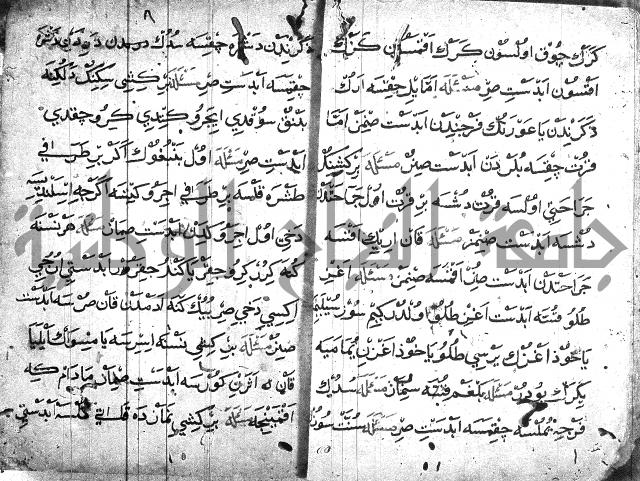 عبارات بالتركية