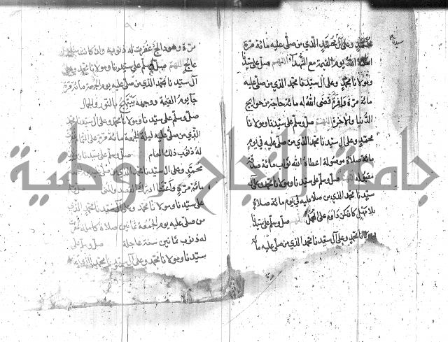 تنبيه الانام