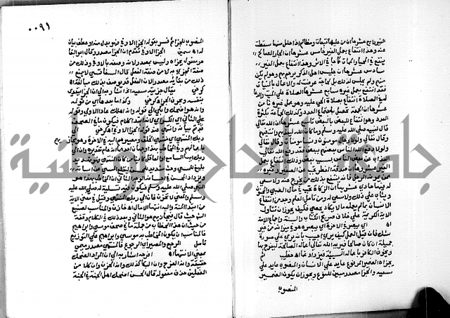 حاشية الجمل على تفسير الجلالين 