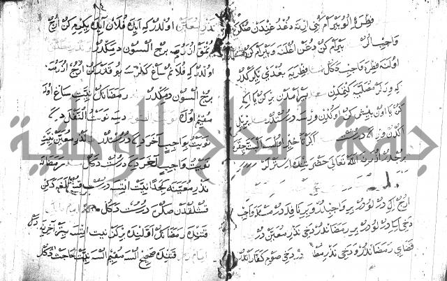 عبارات بالتركية