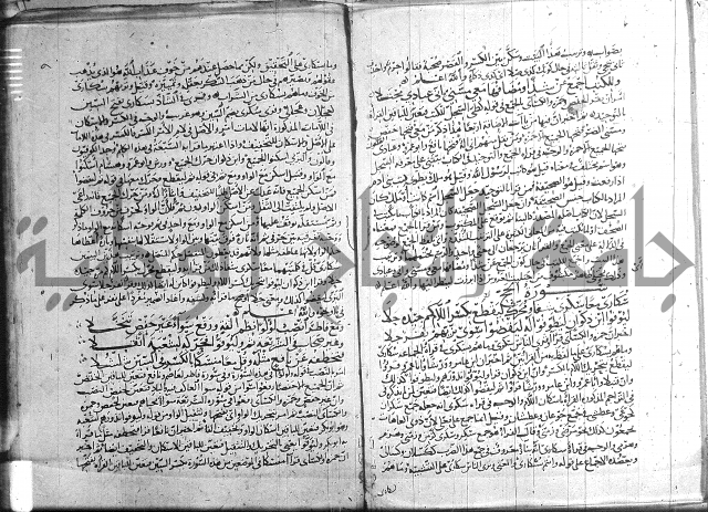 شرح الشاطبية