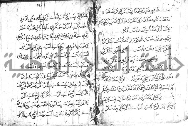 عبارات بالتركية