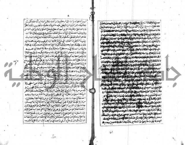 تبين المحارم 