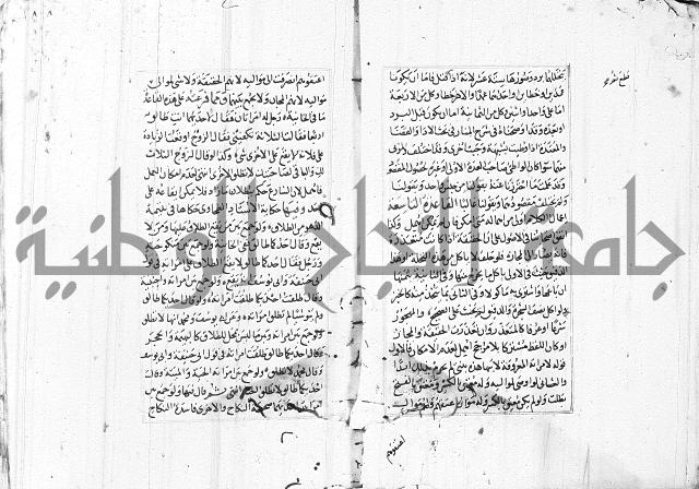 الاشباه والنظائر