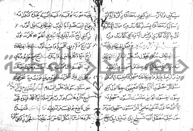 عبارات بالتركية