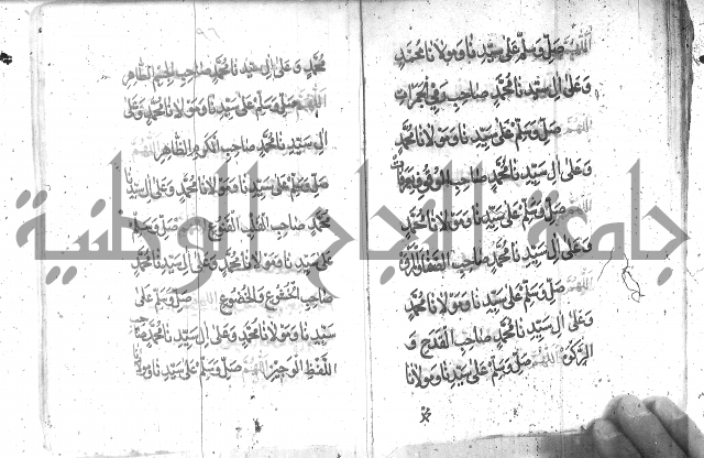 تنبيه الانام