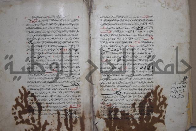 حياة الحيوان الكبرى