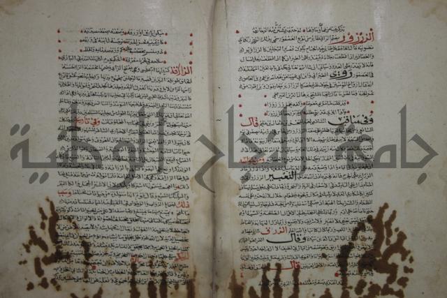حياة الحيوان الكبرى