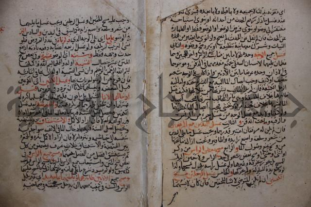 كتاب الغريب المجيب في حل الفاظ التقريب