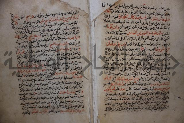 كتاب الغريب المجيب في حل الفاظ التقريب