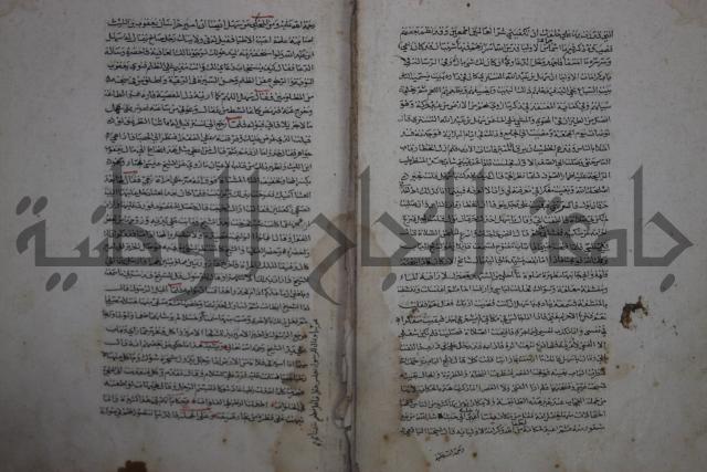 حياة الحيوان الكبرى