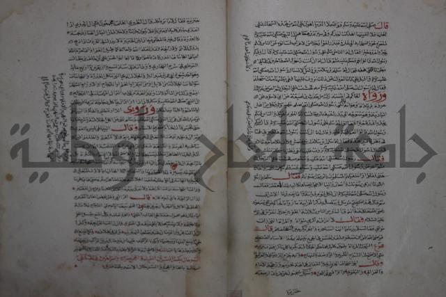 حياة الحيوان الكبرى