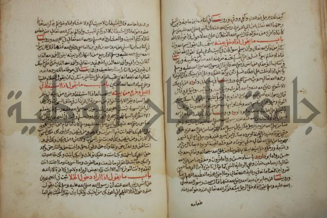 كتاب حلية الابرار وشعار الاخيار في تحقيق الدعوات والاذكار المستحبة في الليل والنهار