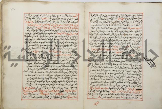 كتاب الفتوحات الالاهية بشرح الاربعين النووية 