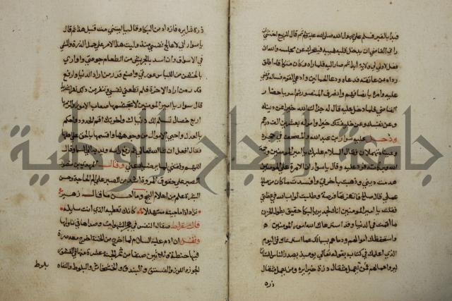 كتاب حياة الأنفس