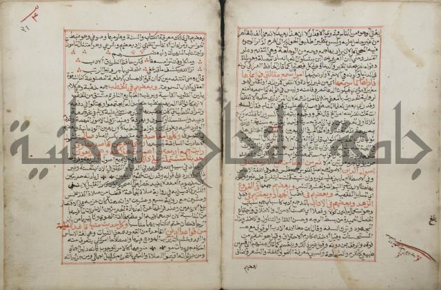 كتاب الفتوحات الالاهية بشرح الاربعين النووية 