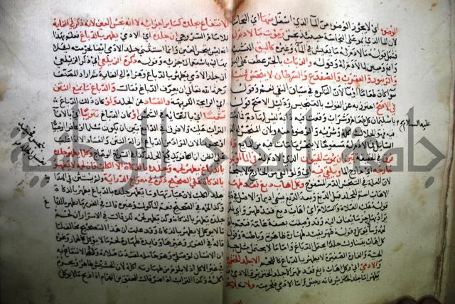 من شرح الدرة