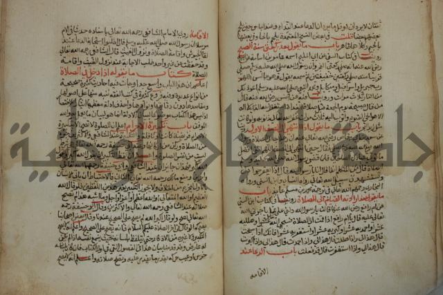 كتاب حلية الابرار وشعار الاخيار في تحقيق الدعوات والاذكار المستحبة في الليل والنهار