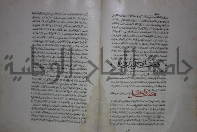 حياة الحيوان الكبرى