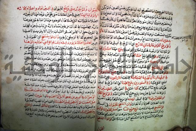من شرح الدرة