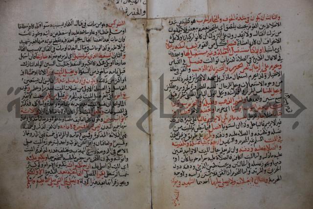 كتاب الغريب المجيب في حل الفاظ التقريب