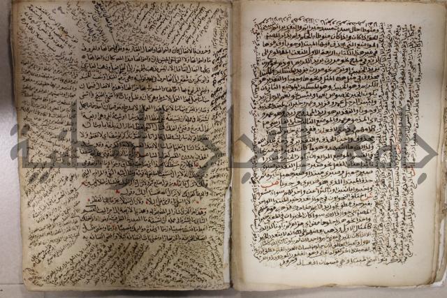 كتاب شرح الألفية للعلامة ابن عقيل