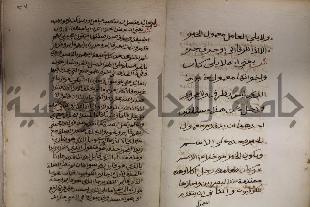 كتاب شرح الألفية للعلامة ابن عقيل