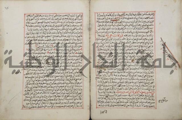كتاب الفتوحات الالهية بشرح الاربعين النووية 