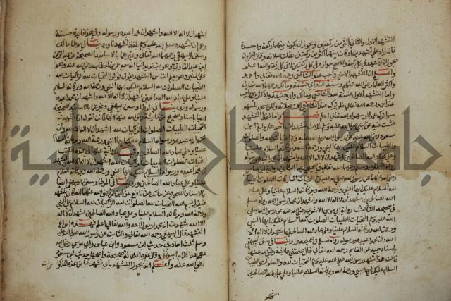 كتاب حلية الابرار وشعار الاخيار في تحقيق الدعوات والاذكار المستحبة في الليل والنهار