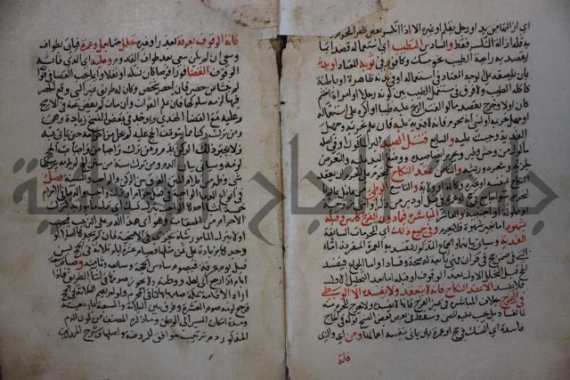 كتاب الغريب المجيب في حل الفاظ التقريب