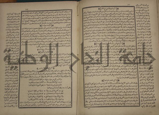 تاريخ الكامل وبهامشه تاريخ مروج الذهب ومعادن الجوهر لامام ابن الحسن بن الحسين المسعود