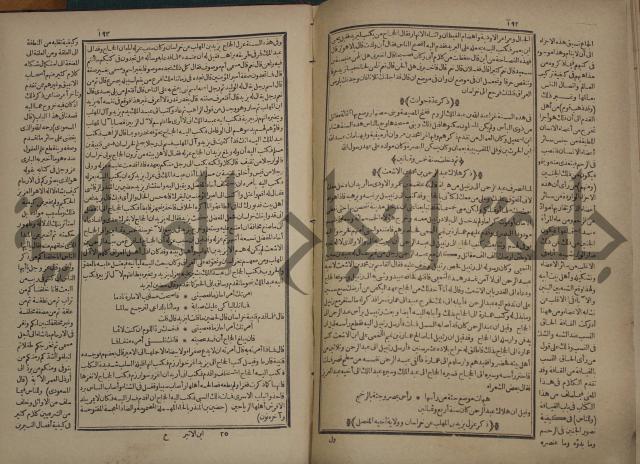 تاريخ الكامل وبهامشه تاريخ مروج الذهب ومعادن الجوهر لامام ابن الحسن بن الحسين المسعود
