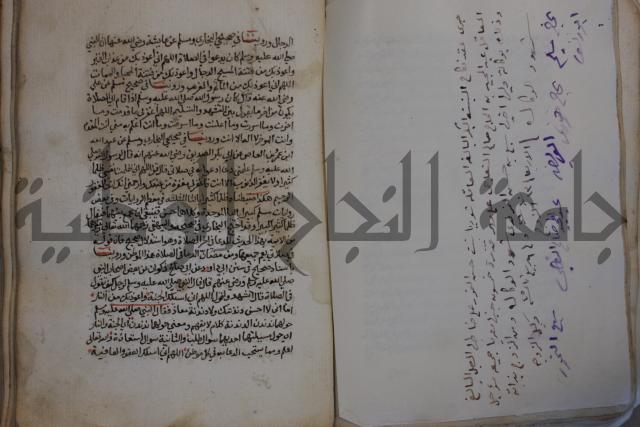 كتاب حلية الابرار وشعار الاخيار في تحقيق الدعوات والاذكار المستحبة في الليل والنهار