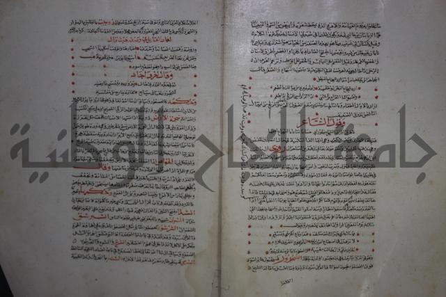 حياة الحيوان الكبرى