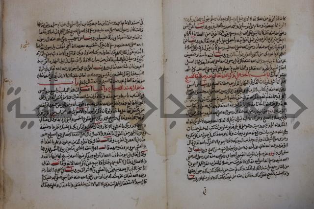 كتاب حلية الابرار وشعار الاخيار في تحقيق الدعوات والاذكار المستحبة في الليل والنهار