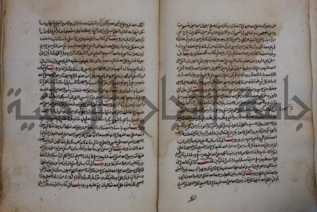 كتاب حلية الابرار وشعار الاخيار في تحقيق الدعوات والاذكار المستحبة في الليل والنهار