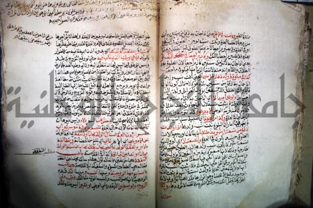 درر الحكام في شرح غرر الاحكام 