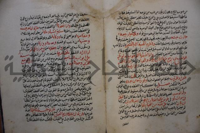 كتاب الغريب المجيب في حل الفاظ التقريب