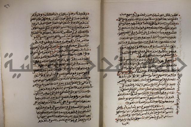 كتاب شرح الألفية للعلامة ابن عقيل